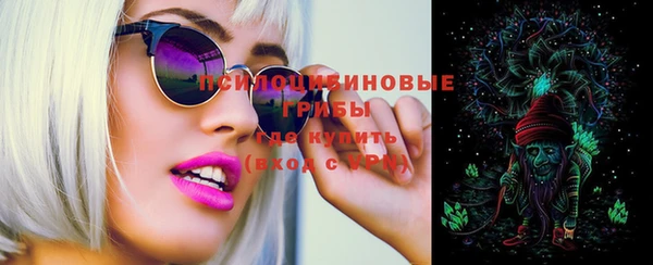 хмурый Карпинск