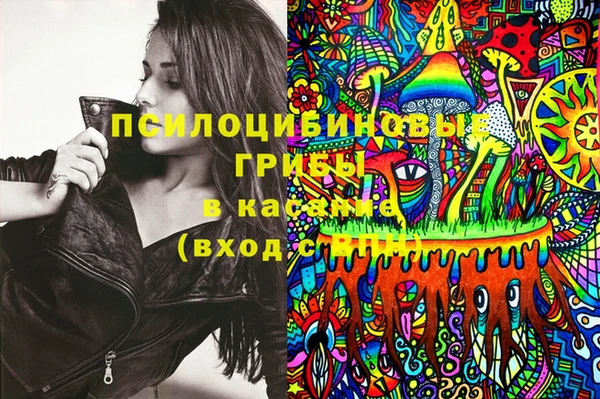 МДПВ Аркадак