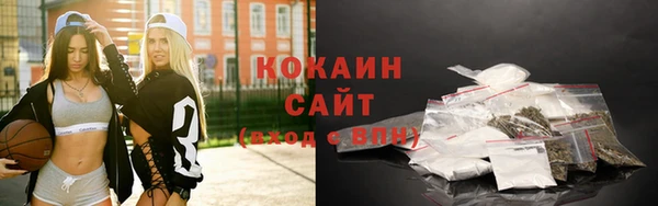 спайс Арсеньев