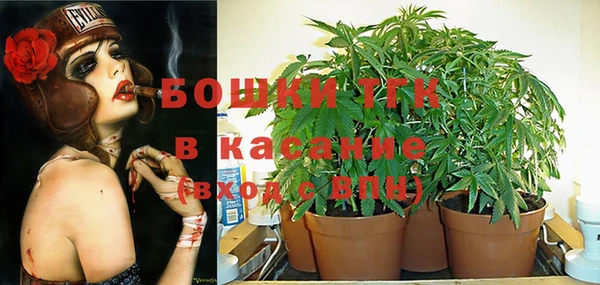 МДПВ Аркадак