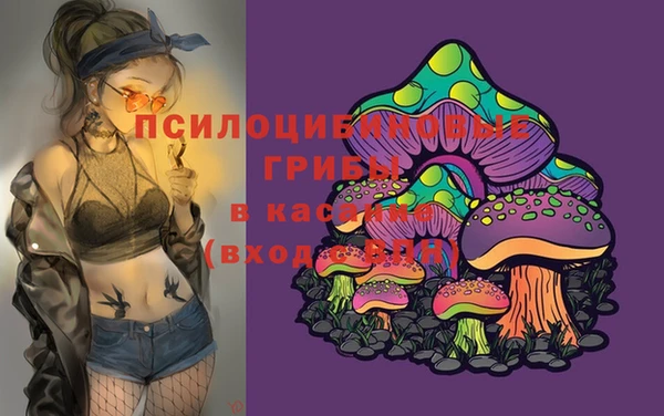 спайс Арсеньев