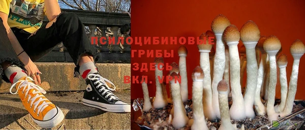 МДПВ Аркадак