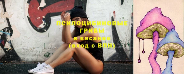 спайс Арсеньев