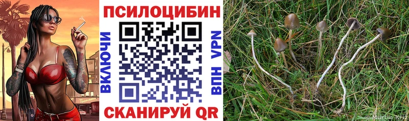 Галлюциногенные грибы Cubensis  Мариинск 